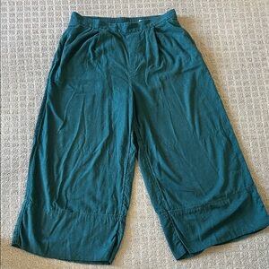 Banana Republic Teal Wide-Leg Pants
